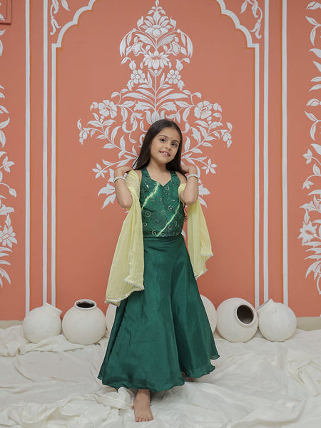 Upada Silk Tye and Dye Lehenga set