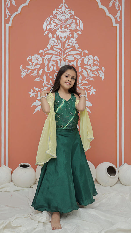 Upada Silk Tye and Dye Lehenga set