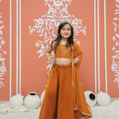 Rust Velvet Lehenga set