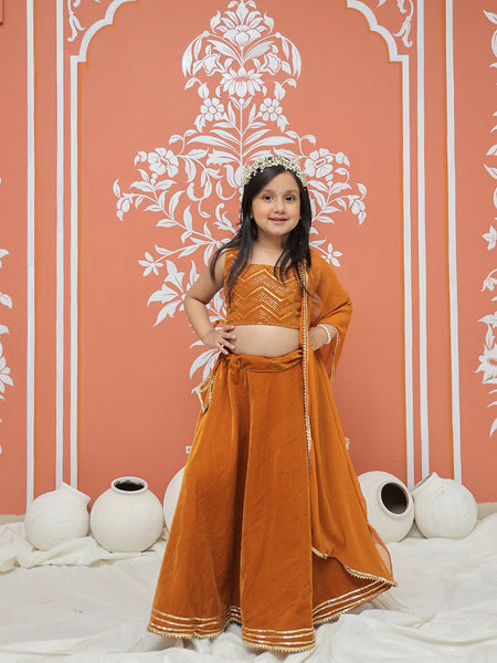 Rust Velvet Lehenga set