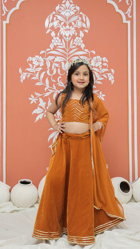 Rust Velvet Lehenga set
