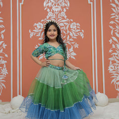 Peacock Multi colored Lehenga set