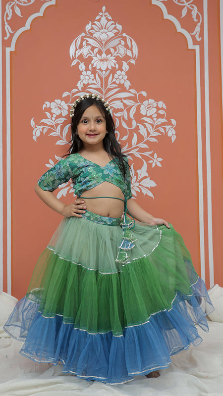 Peacock Multi colored Lehenga set