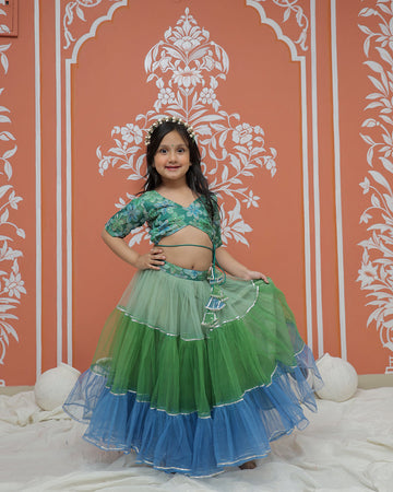 Peacock Multi colored Lehenga set