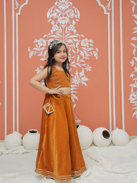 Rust Velvet Lehenga set