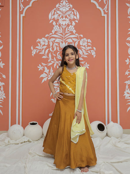 Mustard Upada Silk Tye and Dye Lehenga set