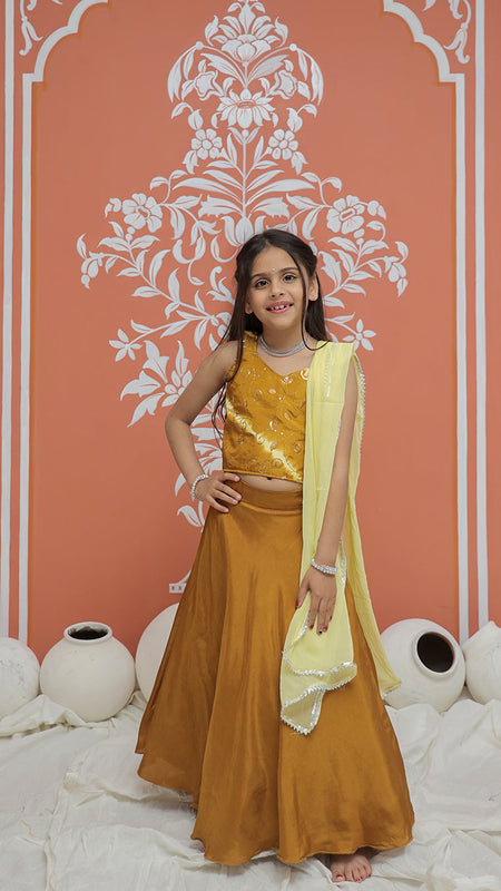 Mustard Upada Silk Tye and Dye Lehenga set