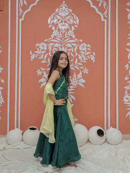 Upada Silk Tye and Dye Lehenga set