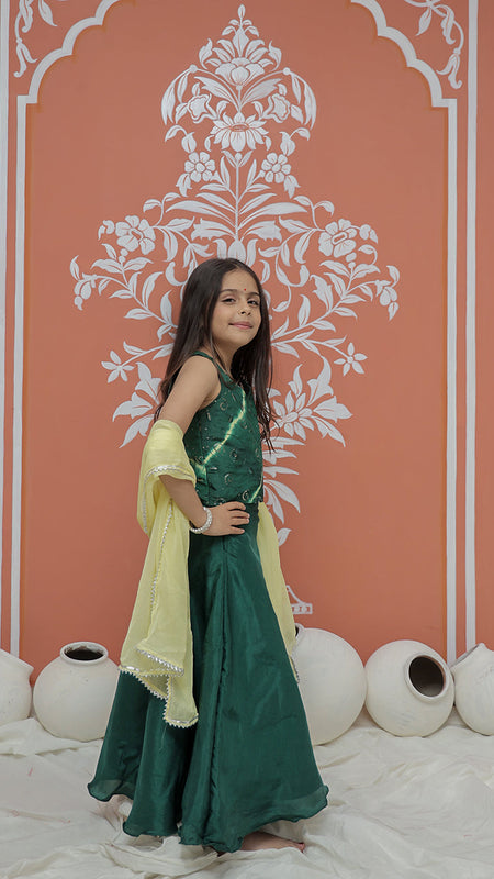 Upada Silk Tye and Dye Lehenga set