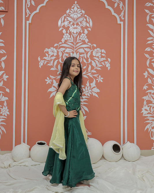 Upada Silk Tye and Dye Lehenga set