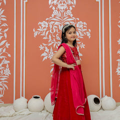 Rani Pink Velvet Lehenga set