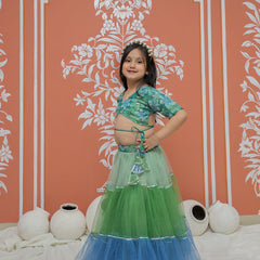 Peacock Multi colored Lehenga set