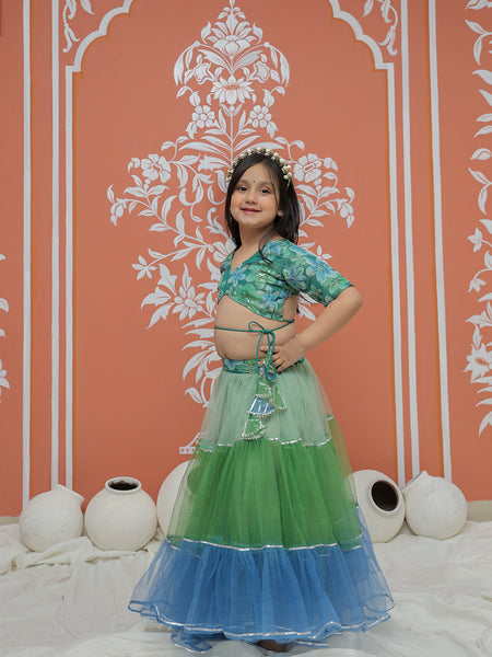 Peacock Multi colored Lehenga set