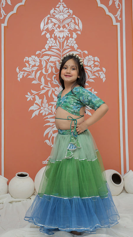 Peacock Multi colored Lehenga set