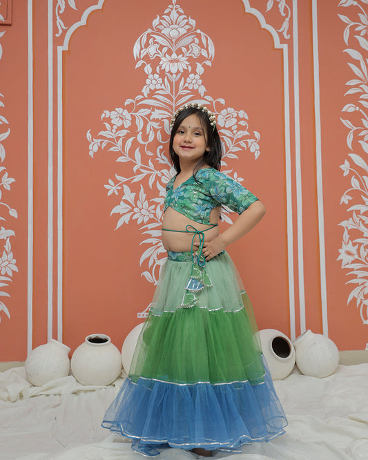 Peacock Multi colored Lehenga set