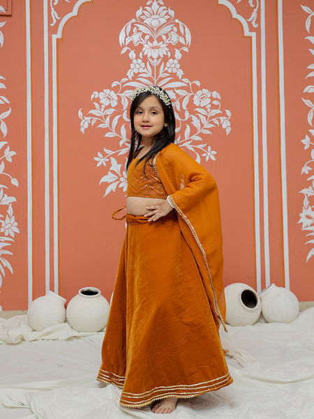 Rust Velvet Lehenga set