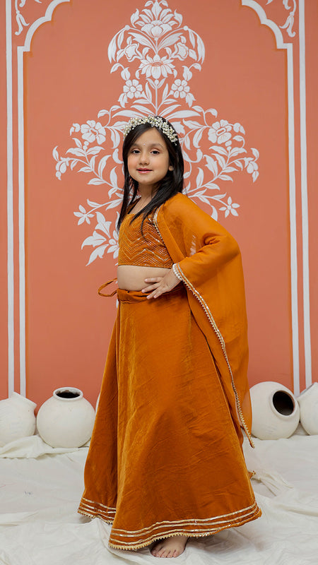 Rust Velvet Lehenga set