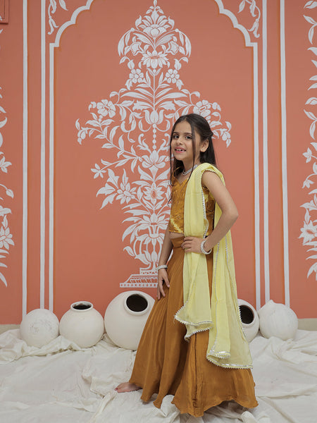 Mustard Upada Silk Tye and Dye Lehenga set