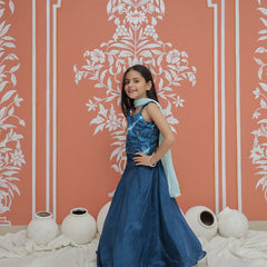 Upada Silk Tye and Dye Lehenga set