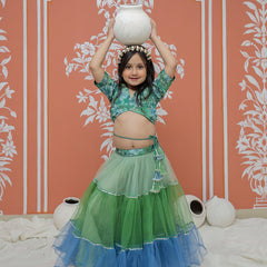 Peacock Multi colored Lehenga set