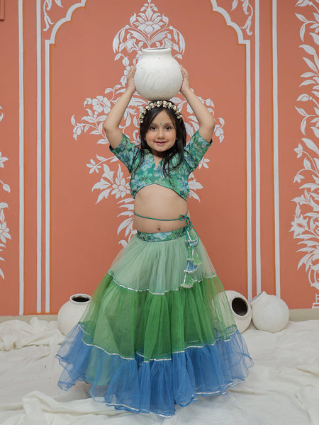 Peacock Multi colored Lehenga set