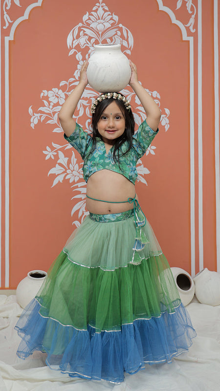 Peacock Multi colored Lehenga set