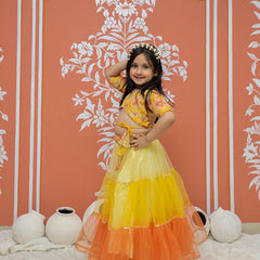 Yellow Multi colored Lehenga set