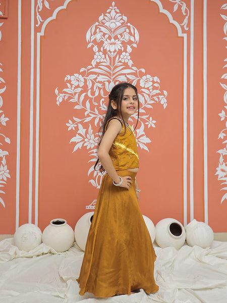 Mustard Upada Silk Tye and Dye Lehenga set