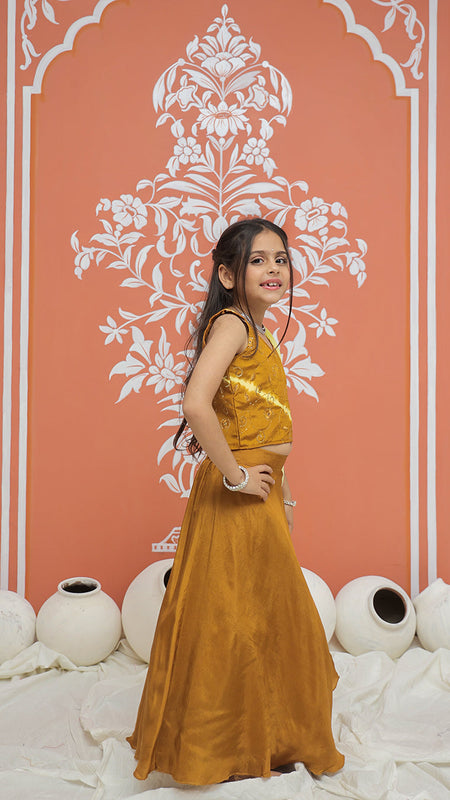 Mustard Upada Silk Tye and Dye Lehenga set