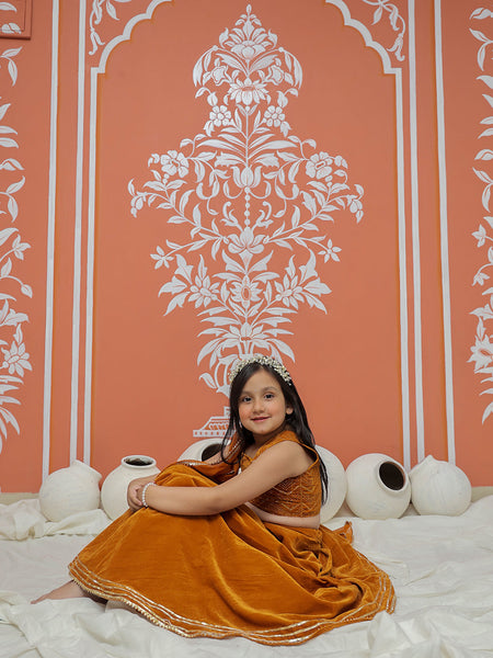 Rust Velvet Lehenga set