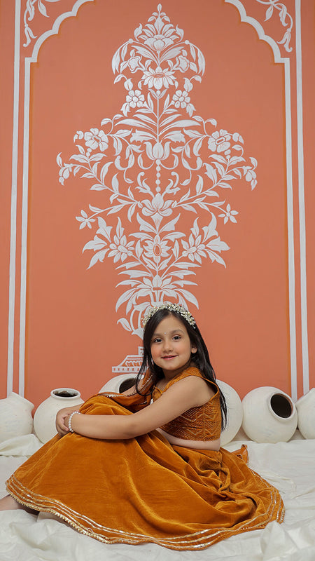 Rust Velvet Lehenga set