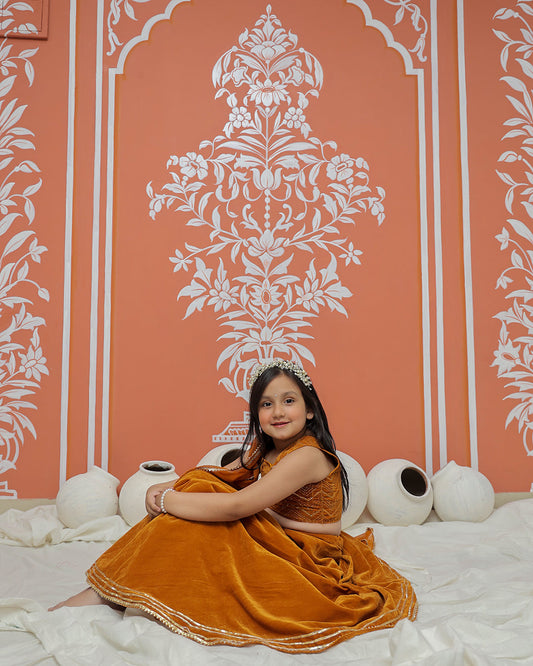 Rust Velvet Lehenga set
