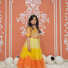 Yellow Multi colored Lehenga set