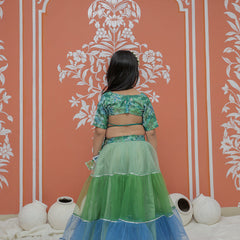 Peacock Multi colored Lehenga set