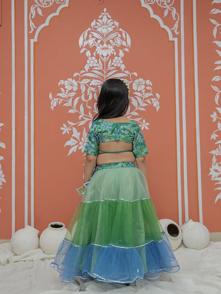 Peacock Multi colored Lehenga set