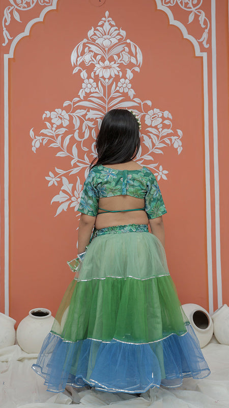 Peacock Multi colored Lehenga set