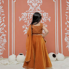 Rust Velvet Lehenga set