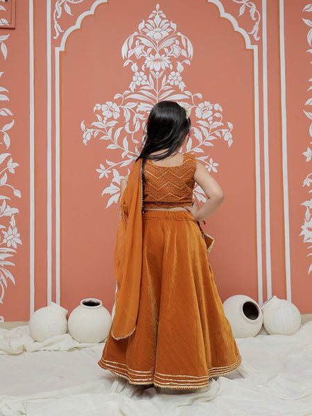 Rust Velvet Lehenga set
