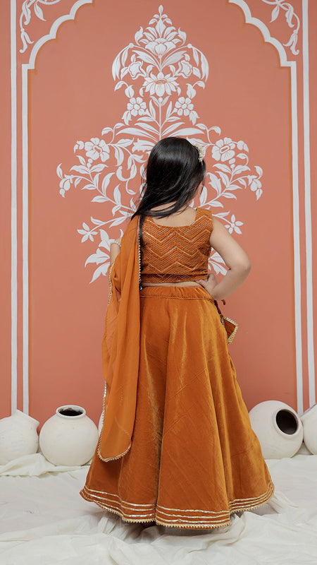 Rust Velvet Lehenga set