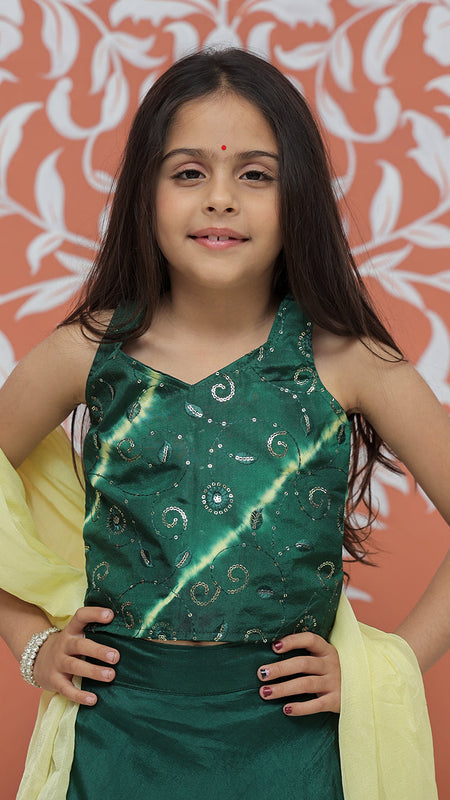 Upada Silk Tye and Dye Lehenga set