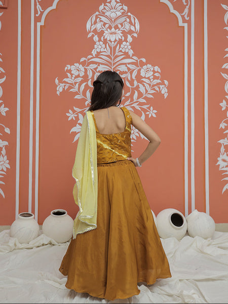Mustard Upada Silk Tye and Dye Lehenga set
