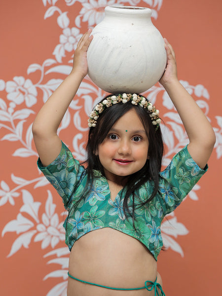 Peacock Multi colored Lehenga set