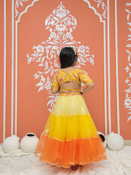 Yellow Multi colored Lehenga set