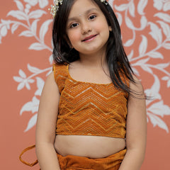 Rust Velvet Lehenga set