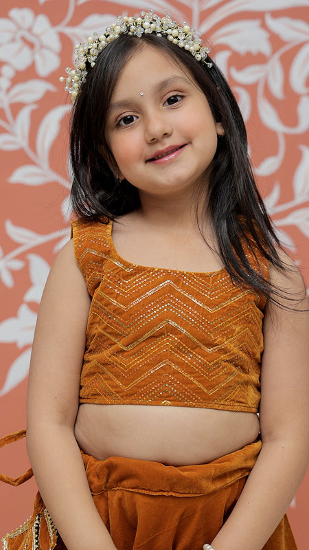 Rust Velvet Lehenga set