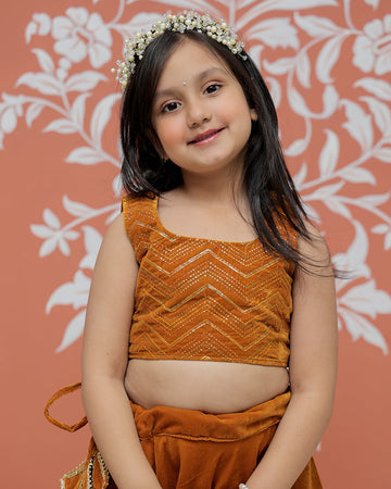 Rust Velvet Lehenga set