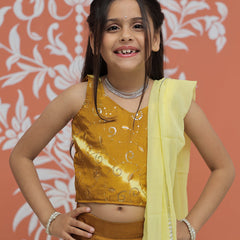 Mustard Upada Silk Tye and Dye Lehenga set
