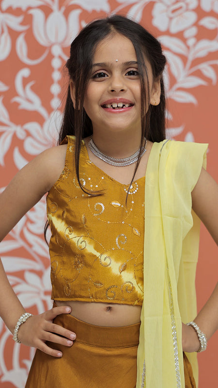 Mustard Upada Silk Tye and Dye Lehenga set