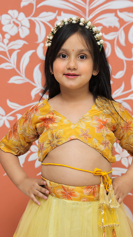 Yellow Multi colored Lehenga set