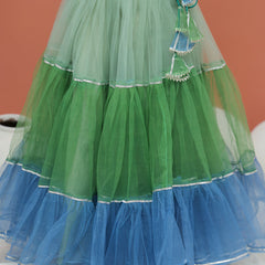 Peacock Multi colored Lehenga set